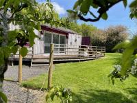 Purple CargoPod at Lee Wick Farm Cottages & Glamping - Ferienwohnung Clacton-on-Sea