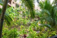 Paki Maui 211 - Ferienwohnung Kahana