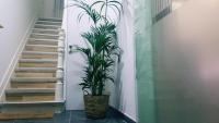Cozy Rooms with share the bathroom and kitchen - B&B Bruselas