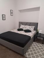 Двокімнатні апартаменти в центрі міста Лева - Chambres d’hôtes Lviv