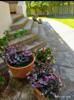 Apartment mit Terrasse und Gartenblick