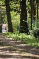 Fleurs de Brenne Gite - B&B Neuillé-le-Lierre