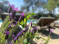 La Finca - B&B