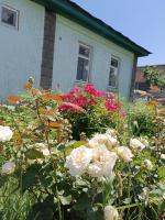 Yurt stay in downtown - Ferienwohnung Karakol