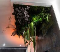 Le Vulcano : duplex lounge ! - B&B
