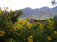 Haus mit 1 Schlafzimmer