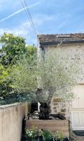 L'Aparenthese - Aux portes de Fontainebleau - B&B Voulx