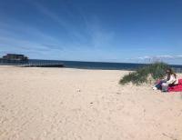 Bastad Beautiful All Year Around Year Stay Perfect Location Sea, Golf, Hiking, Free P - B&B Erikstorp