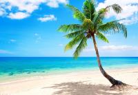 Jambo Diani 1-bedroom apartment close to the beach - B&B Diani Beach