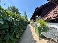 Leniwy Kot - B&B