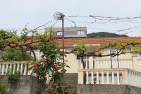 Apartman Maslovar - B&B