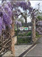 B&B Polline & Conchiglie - Ferienwohnung Ceriale