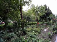 Cozy Flat - B&B Braşov