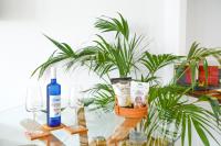 Apartamentos Mares de Lava - Puerto del Carmen - B&B Puerto del Carmen