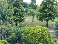Nefelejcs Apartman - B&B Siófok