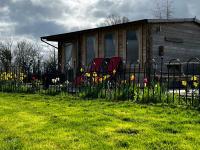 Silver Springs Farm Lodge - B&B Dingestow