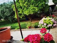 Apartman Barbara - Bed and Breakfast Bibinje