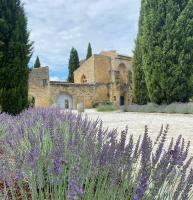 Château Saint-Pierre de Mejans - Ferienwohnung Puyvert