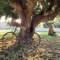l'aira ecchia - ospitalità rurale - B&B Lecce