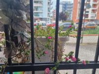 Alba Sweet - B&B