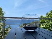 Carpe Diem Apartment - B&B Segna