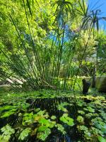 CASA EN VERTIENTES DE LA GRANJA - B&B La Granja