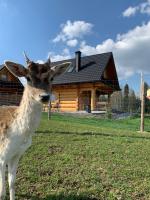 Chalet con 2 Camere da Letto