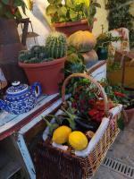 Home Il Cortiglione - Ferienwohnung Frascati