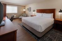 Business Room, Guest room, 1 King