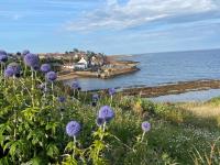 Seagull's Rest - B&B