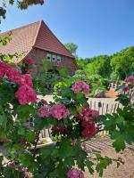 B&B Ummern - Mutti ´s Landhof - Bed and Breakfast Ummern