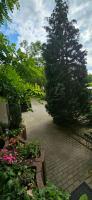 Johnis FeWo, Nähe Stadtzentrum und Uni in sehr ruhiger Lage mit Terrasse und eigenem Parkplatz - B&B