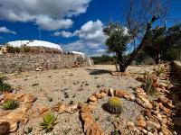 Trulli delle succulente - B&B Capilungo