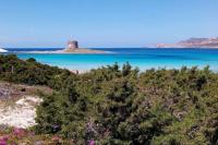ClickSardegna Villa Regina Stintino sea view with pool and garden - Chambres d'hôtes Cuile Pazzoni