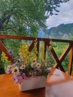 Villa Davisol - B&B