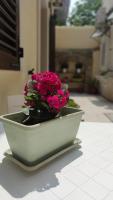 Alla Corte di Dionisio - B&B