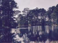 Villa at Bethany West - B&B Bethany Beach