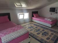 Tweepersoonskamer met 1 of 2 Bedden en Uitzicht op de Bergen