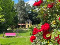 B&B Ostheim - Le Parc du Séquoia & SPA proche Colmar - Bed and Breakfast Ostheim