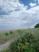 DOMEK holenderski, Ogród, blisko plaży, Gdynia WAKACJE NA LUZIE - Chambres d'hôtes Gdynia