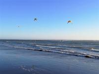 Appartement 3 Étoiles - Plage des Phoques avec Parking Privé - Ferienwohnung