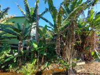 Teresópolis Hostel - B&B