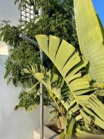 Naousa Villa with pool, garden and view - B&B Naoussa