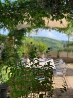 Il Cenacolo Di Sissi - B&B Campagnano di Roma