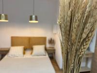 4M Studio - B&B