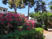 Cigalou sous les pins - Chambres d’hôtes Marseille