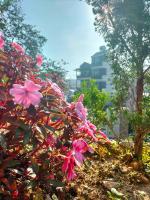 Chất home - B&B Ðà Lạt