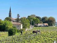 Studio with AC, pool & garden, 2km St Emilion - B&B
