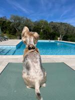 Le Clos Serein - B&B