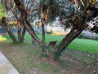 Bed and Breakfast Villa Adelina - B&B Lucca